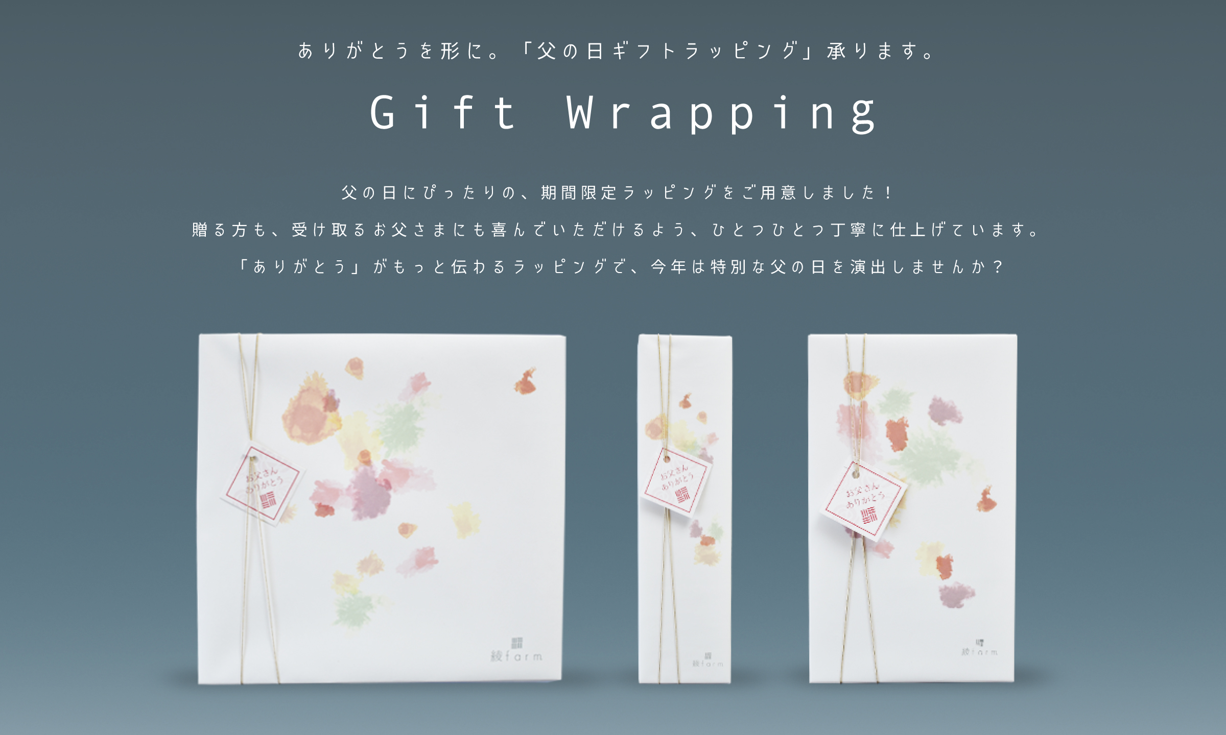 商品1外観