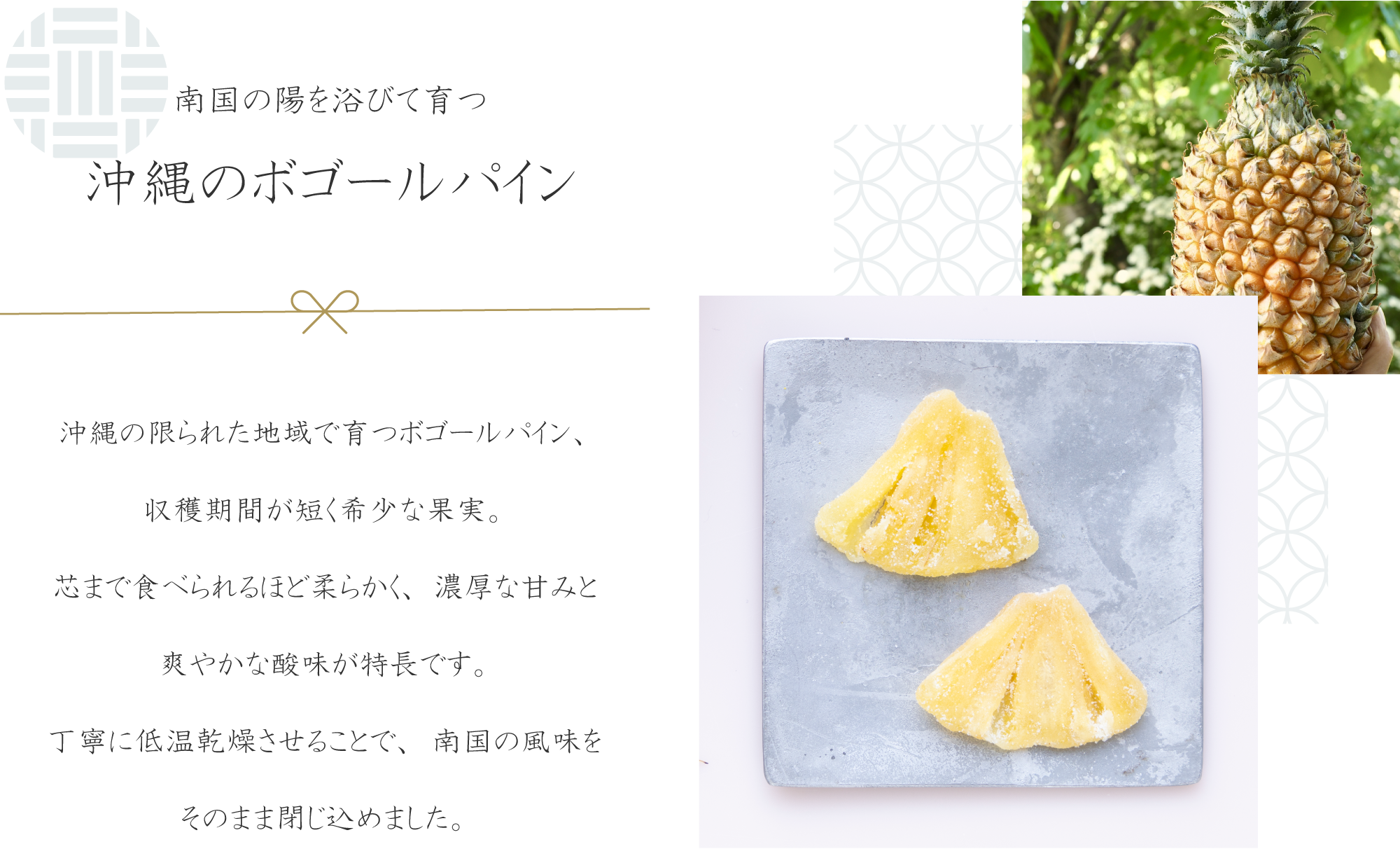 アピール02
