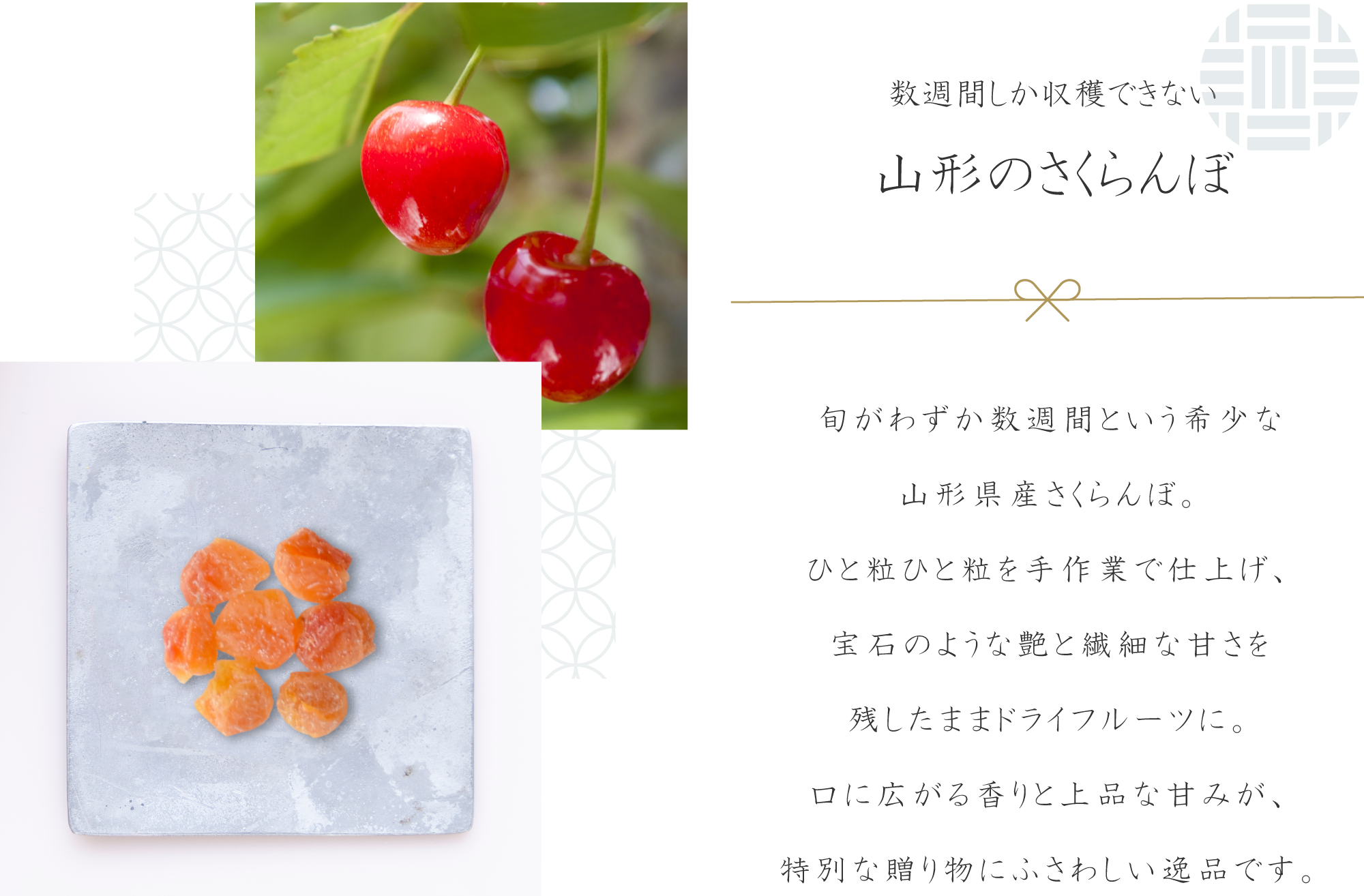 アピール03
