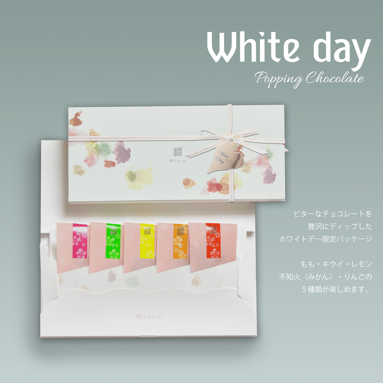 商品1外観