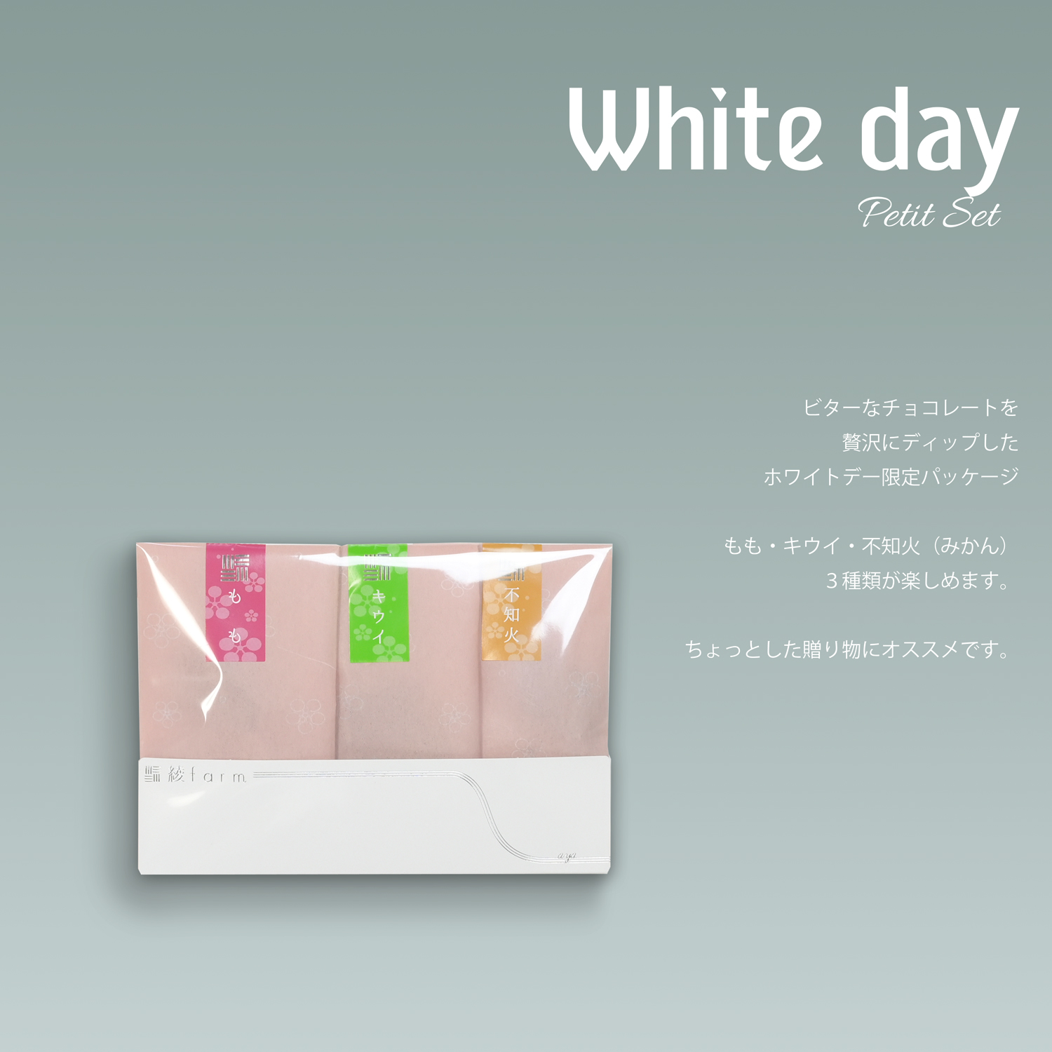 商品1外観