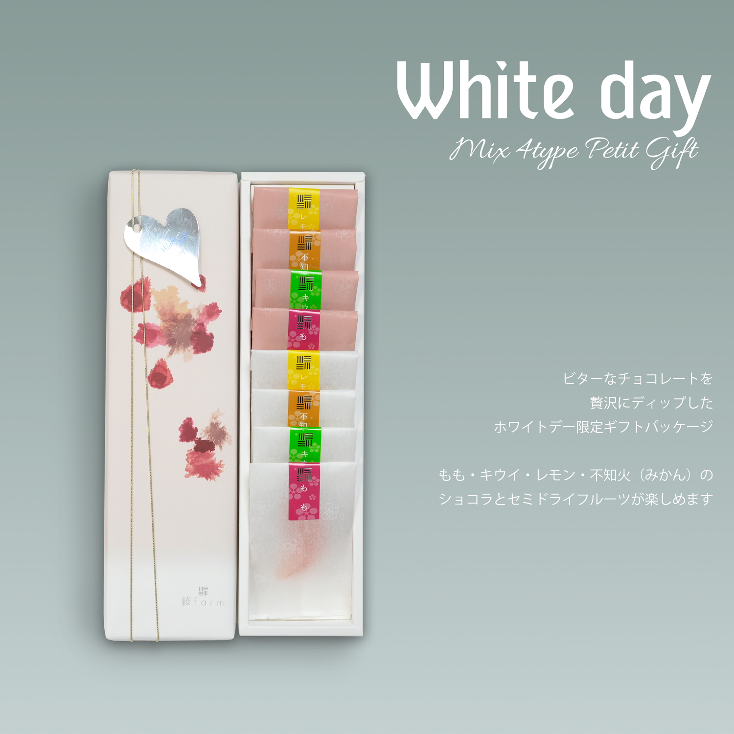 商品1外観